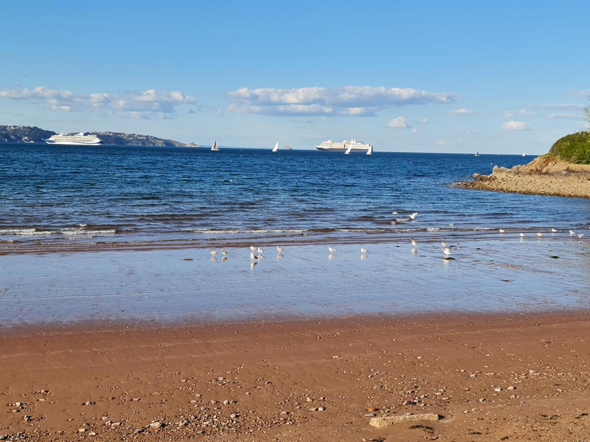 Seaspot Is A 1 Bed Annex Ground Floor Apartment At Stunning Broadsands Beach Nr Brixham! Churston Ferrers Εξωτερικό φωτογραφία